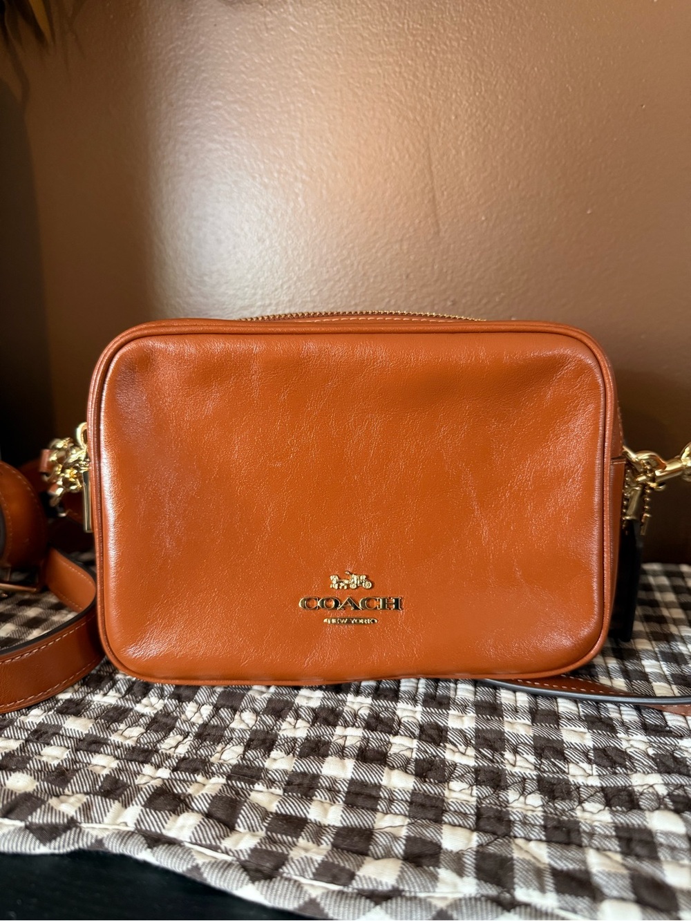 COACH Leather Crossbody Camera Bag